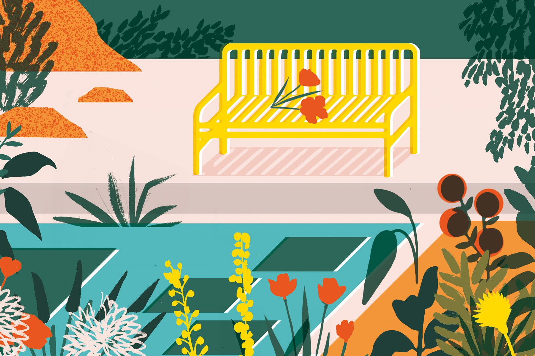 The Multicoloured and Botanical Life Story
